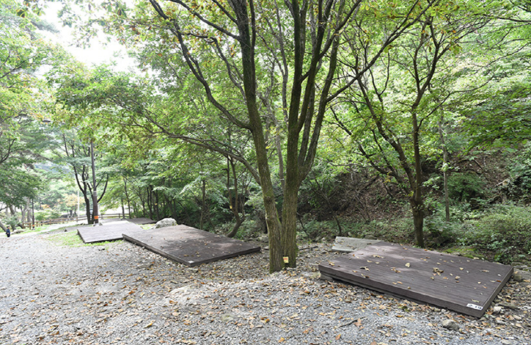 박달재 자연휴양림