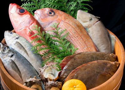 어려가지 생선 종류