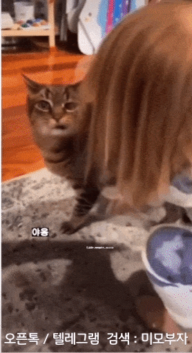 11월 8일 수 경제뉴스 신문스크랩