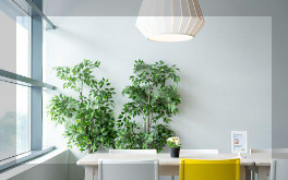 이사 체크리스트