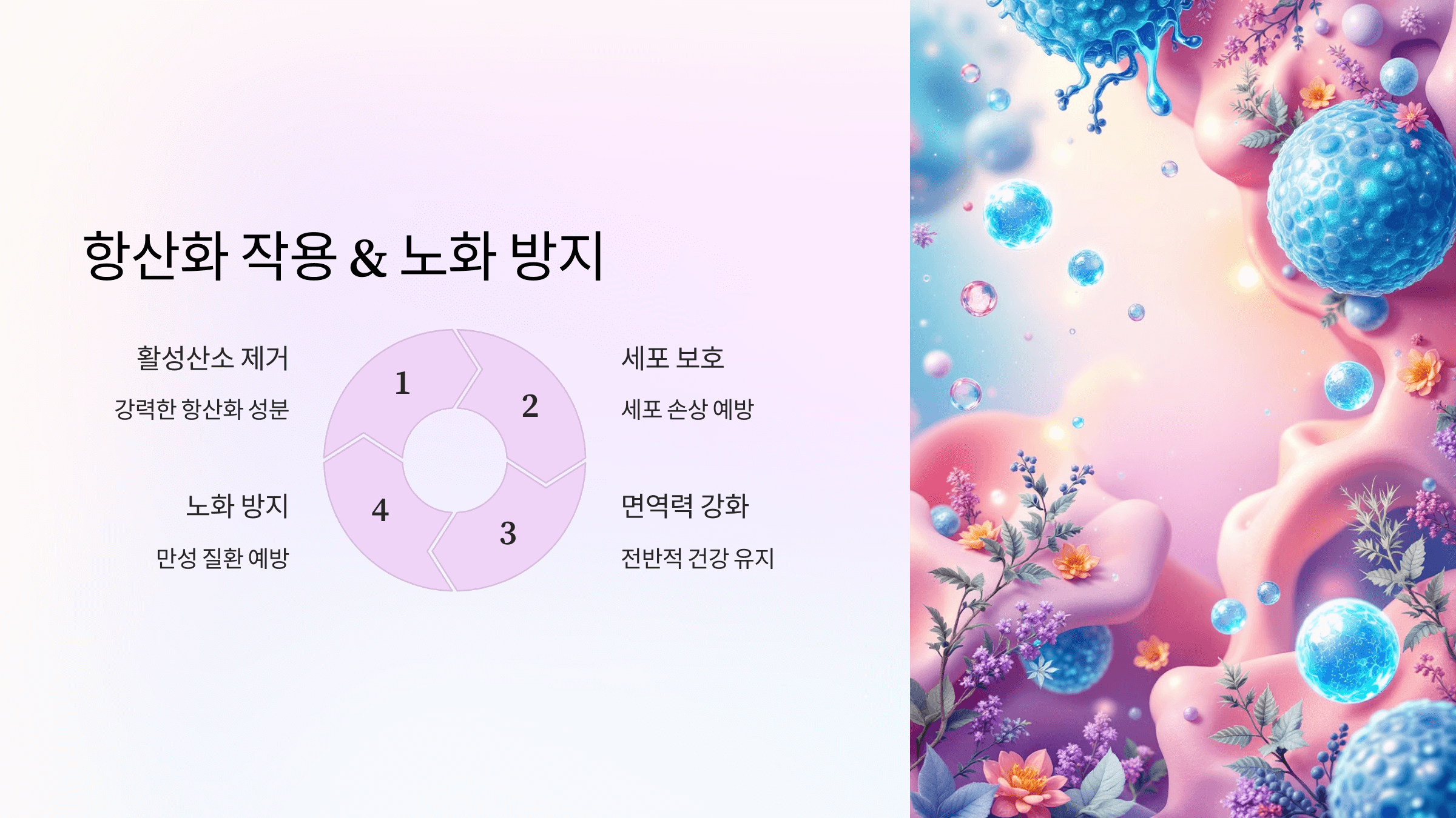 밀크씨슬 사진입니다.