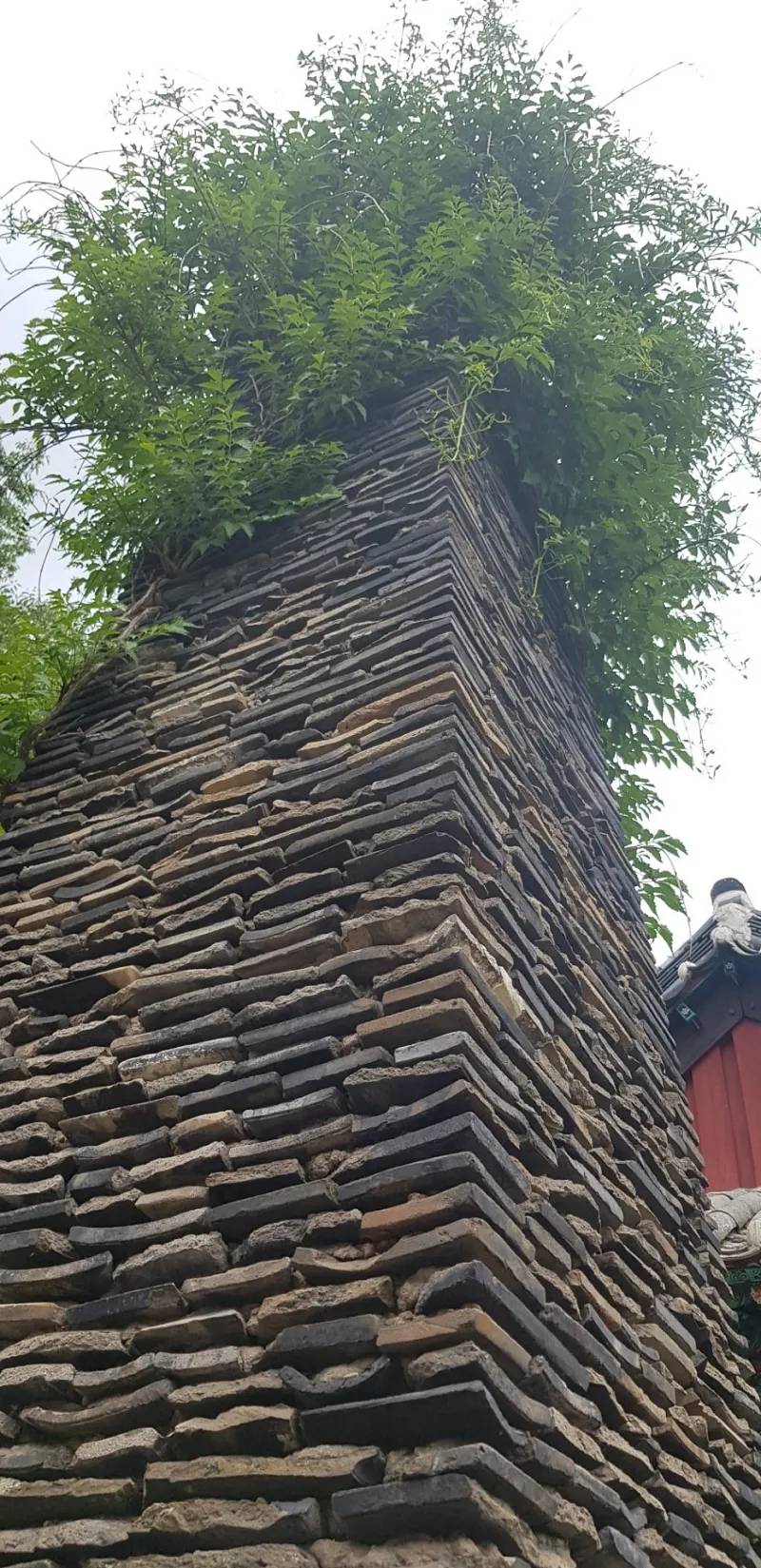 청도 복호산 운문사