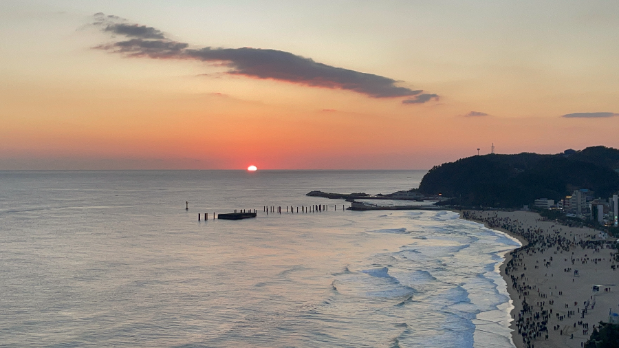 솔비치 삼척 일출 체험