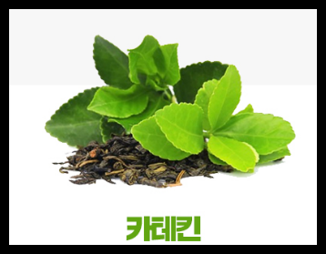 베라핏 다이어트 가격 후기