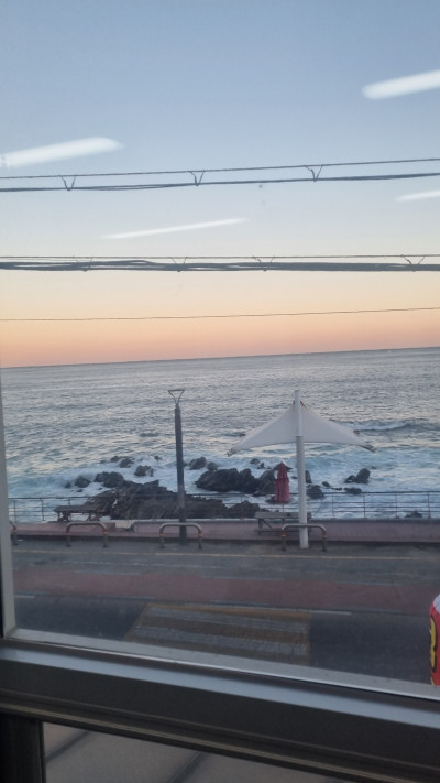 강구항 맛집 대방어 해녀물회 방문 내돈내산 후기