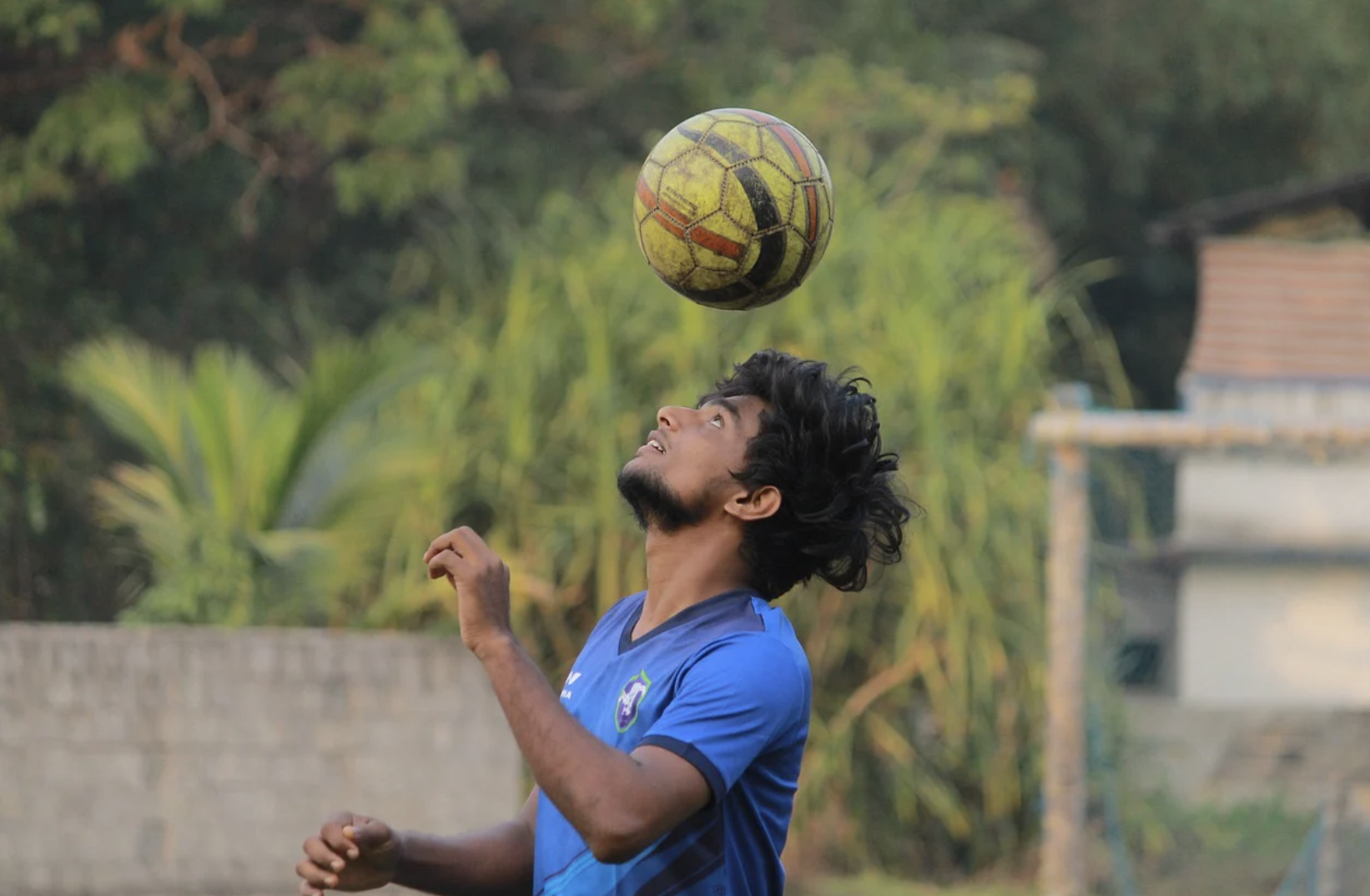 일본 축구 감독 관련 이미지