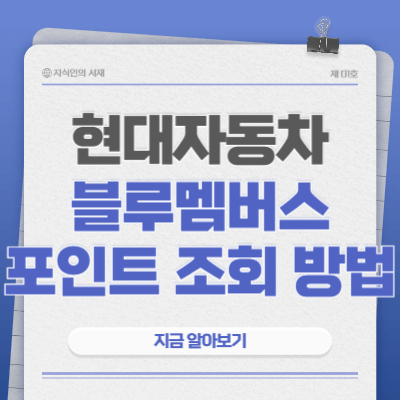 현대자동차-블루멤버스-포인트-조회-방법