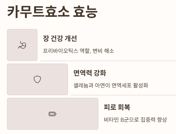 카무트효소 효능