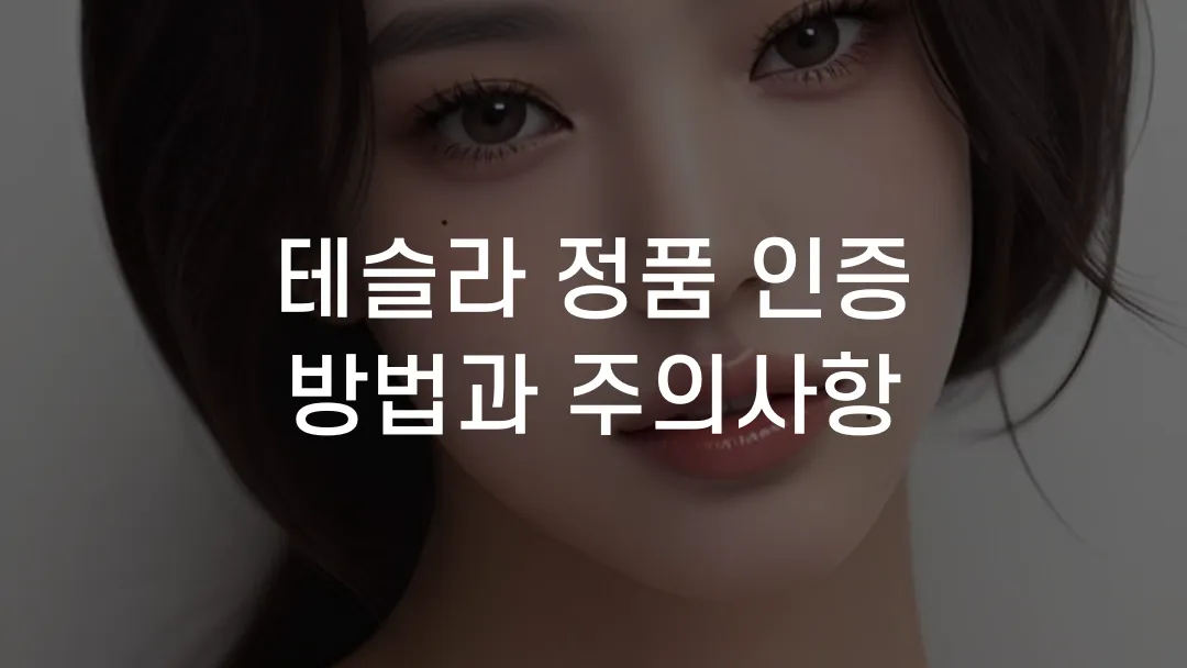 테슬라 정품 인증 방법과 주의사항