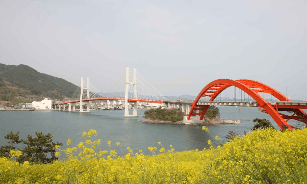 삼천포대교 유채꽃