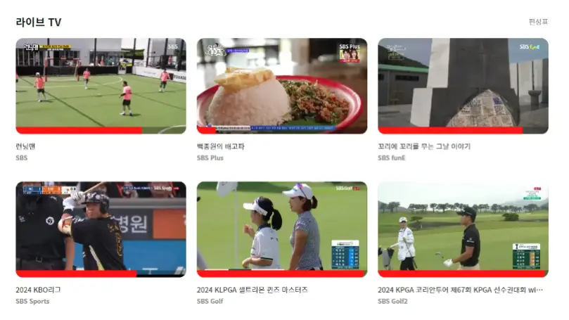 지상파 시청