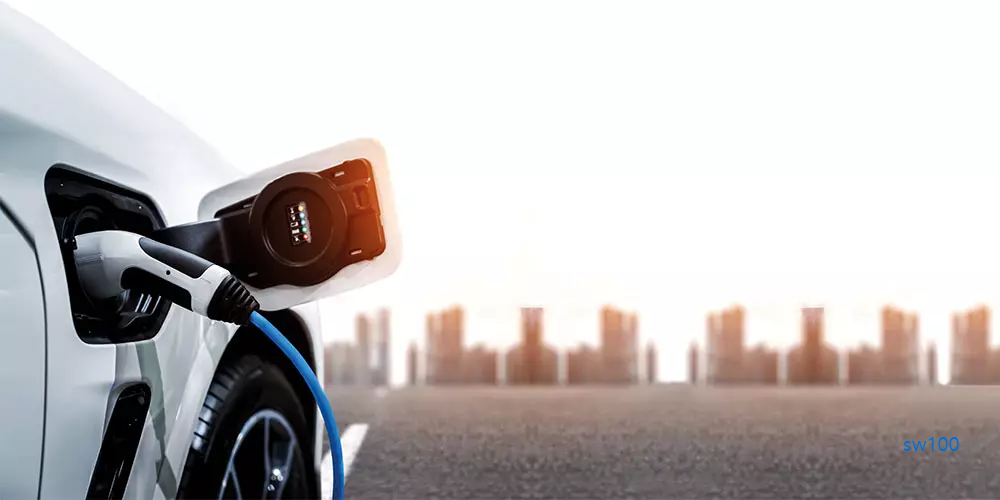 아마노코리아 살펴보기 5