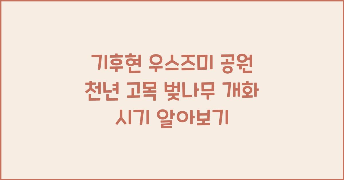 기후현 우스즈미 공원 천년 고목 벚나무 개화 시기