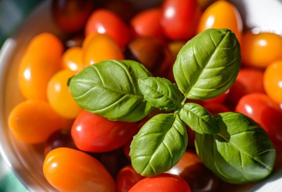 토마토의 놀라운 세계: 건강&#44; 요리&#44; 그리고 재배