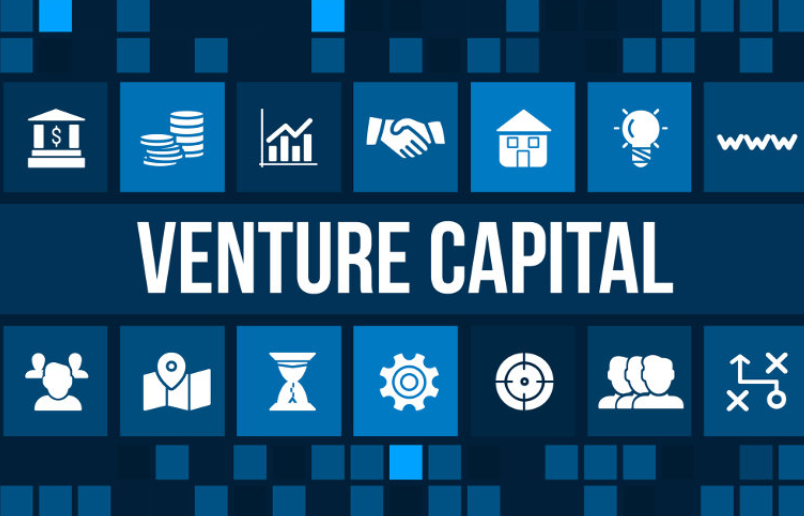 벤처 캐피탈