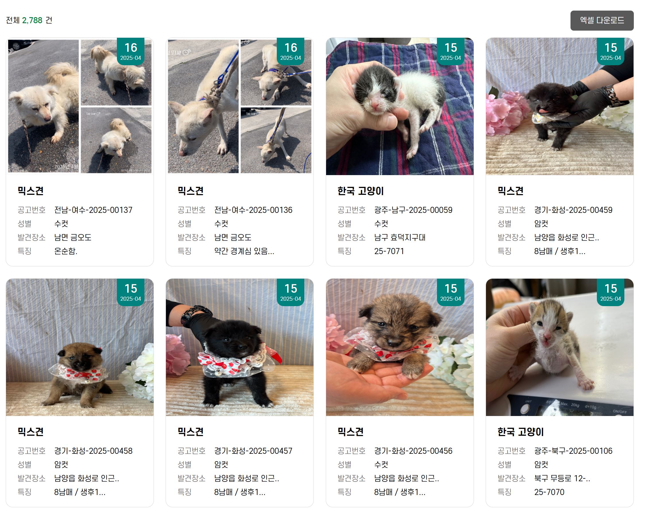 유기견 무료분양 지역별 보호센터안내(알고 분양하세요)