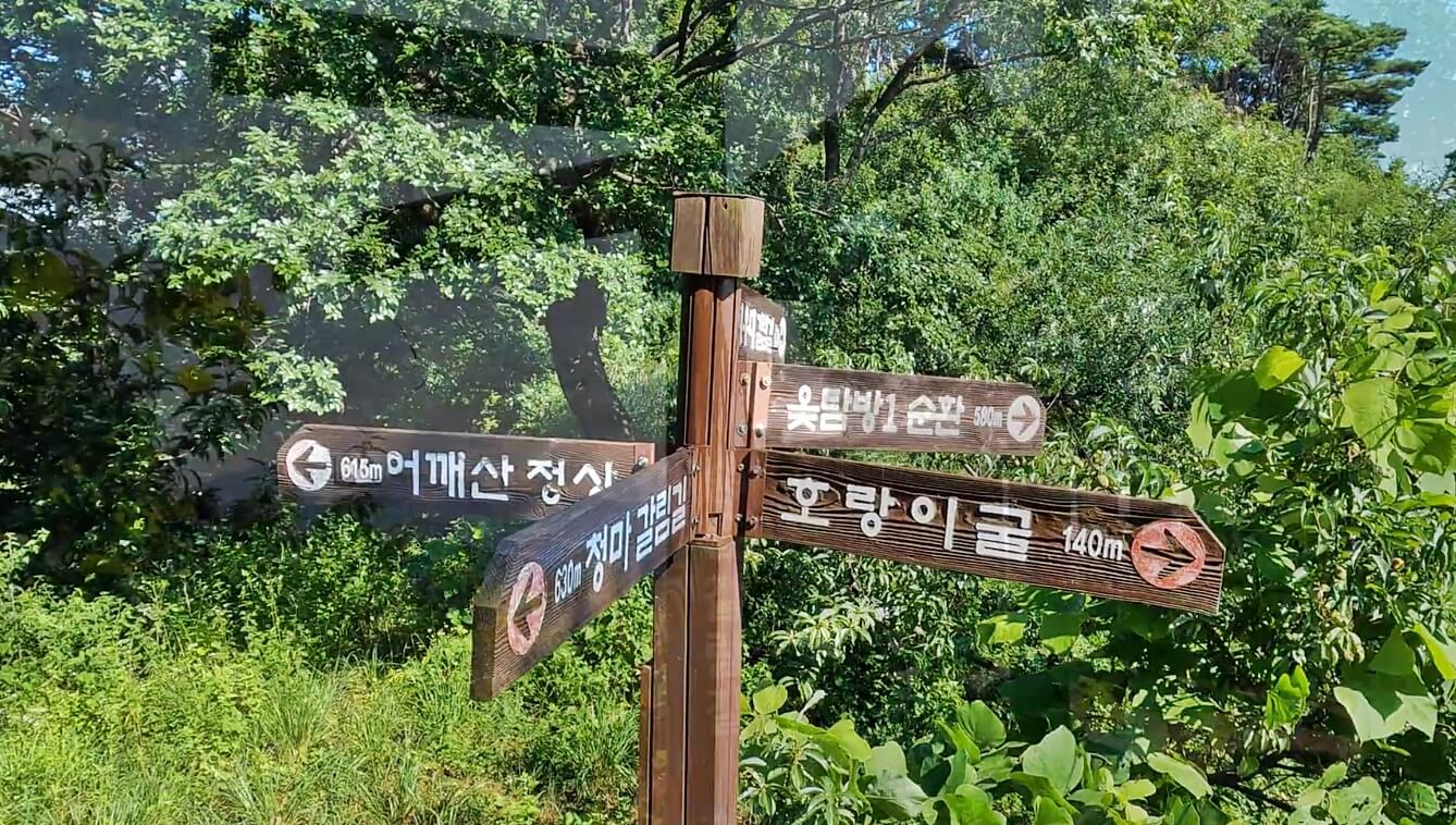 어깨산