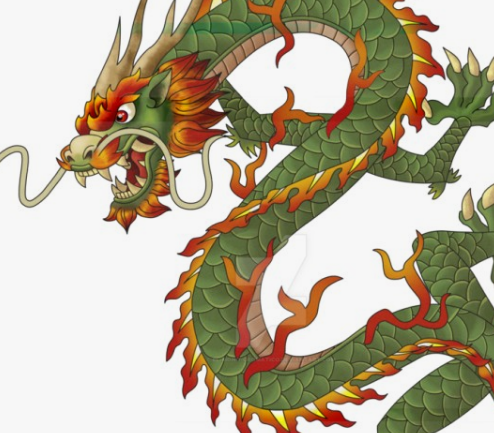 뱀에게물리는꿈