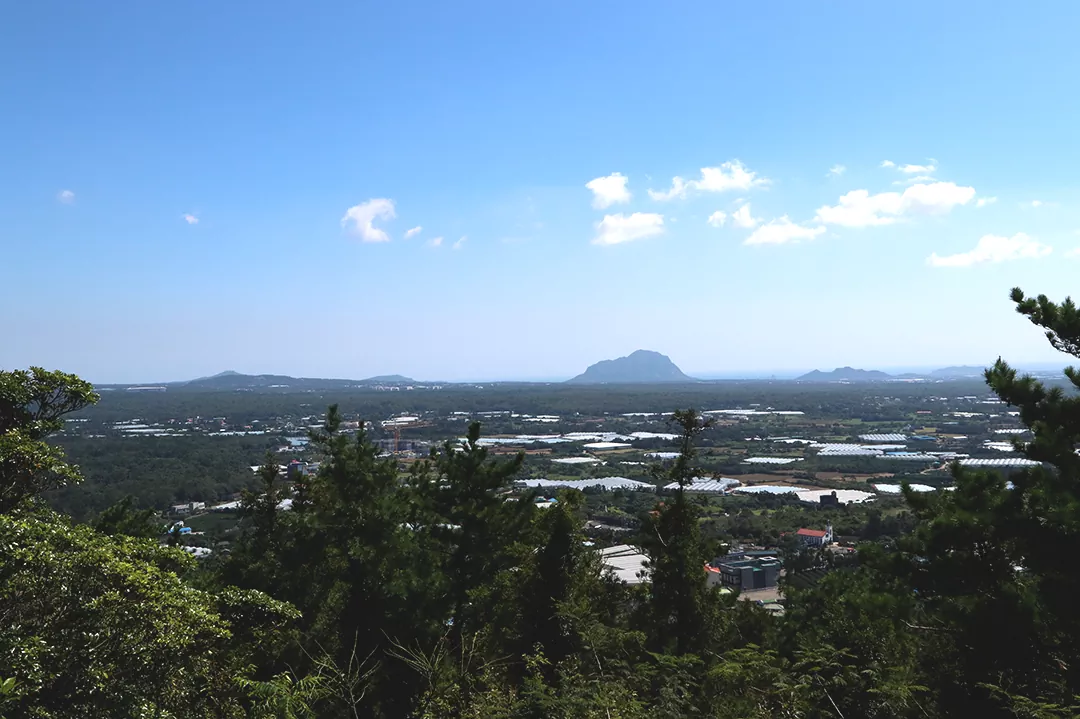 제주 올레길 13코스 후반 구간 저지오름 정상 전망대에서 바라본 웅장한 한라산과 제주의 중산간 파노라마 전경 사진.