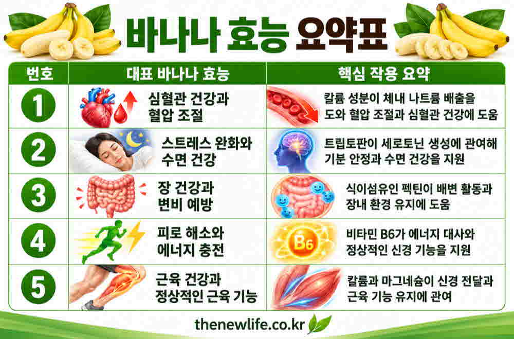 바나나 효능 요약표