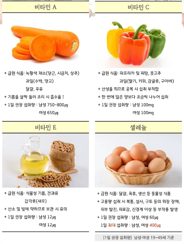 활성산소 제거하는 음식과 영양소