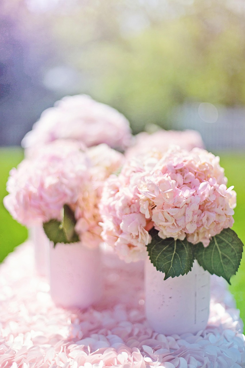 🌿 혼자 떠나는 화담숲 힐링 산책｜조용한 루트 추천