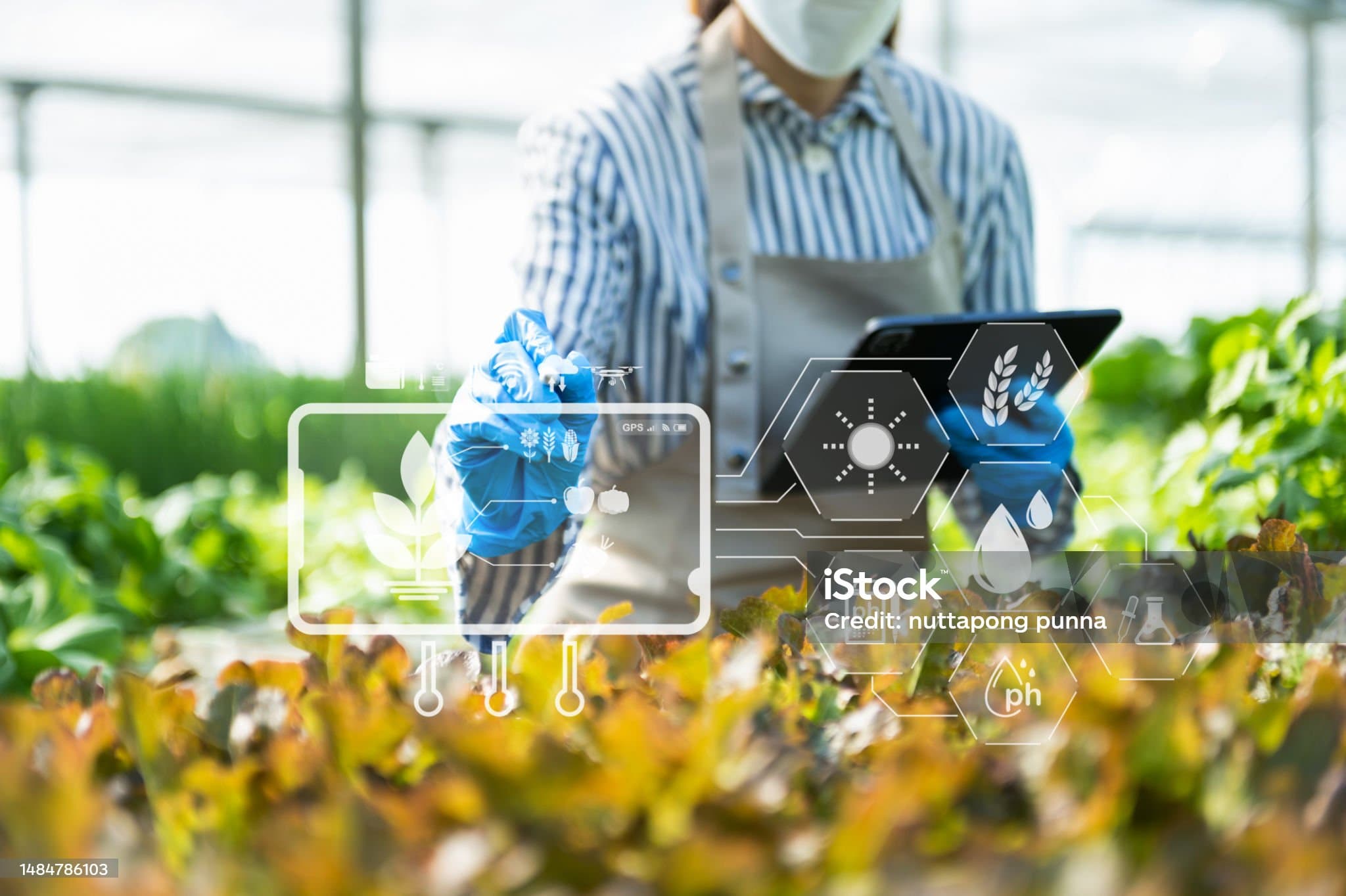 스마트 농업 전문가