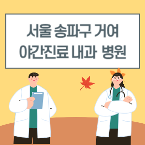 송파구 거여동 야간진료 내과 병원 리스트 (18시 이후 늦게까지하는 병원)