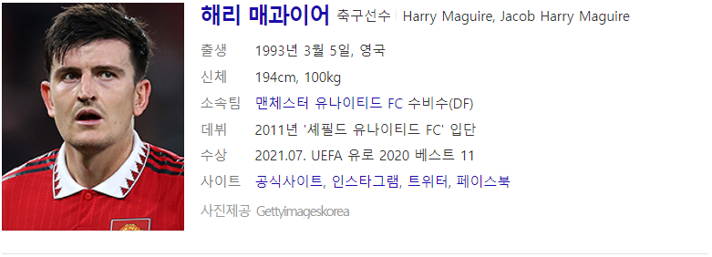 해리 매과이어 (출처 : Daum 인물검색)