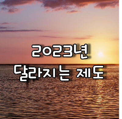 바다의 일출