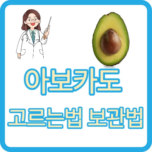 아보카도 고르는 방법 과숙 익은 아보카도 보관 방법