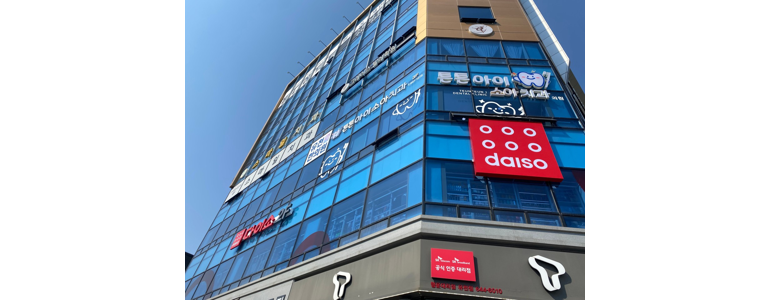 강릉시 종합생활용품 다이소