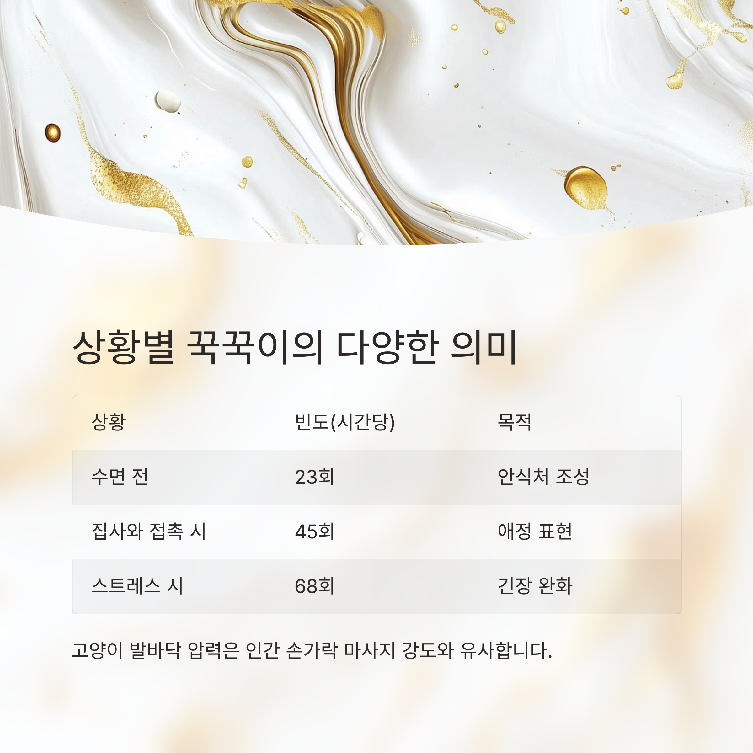 상황별 꾹꾹이의 다양한 의미