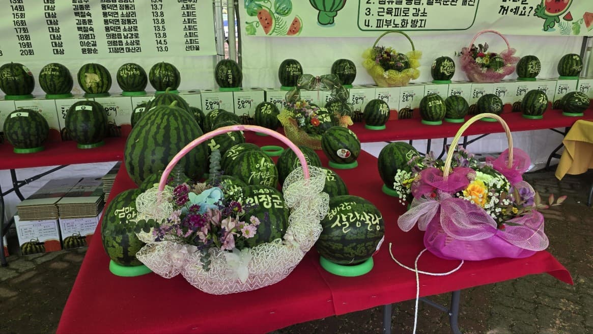 [4월 축제]2025 의령 홍의장군 축제❘기간, 프로그램 &amp; 공연 &amp; 체험 일정표