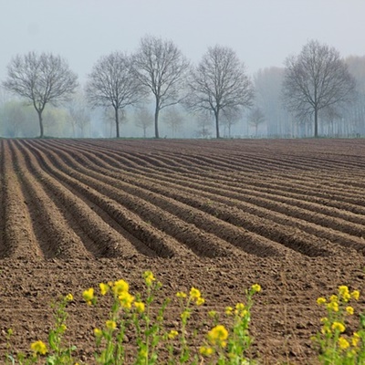 흙을 저장하고 관리하는 법: 계절별 가이드