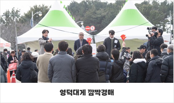 제27회 영덕대게축제(삼사해상공원)