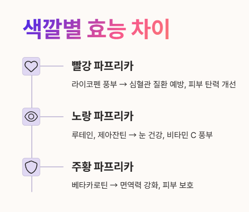 파프리카 색깔별 효능 차이