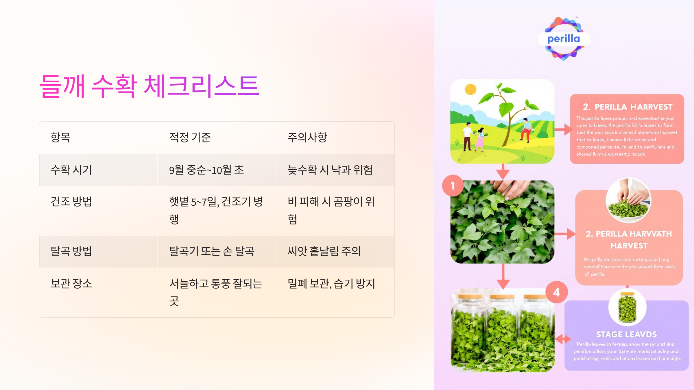 🌞 들깨 수확 체크리스트