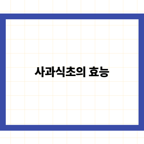 사과식초의 효능
