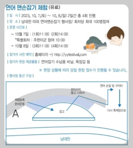양양 송이 연어축제 체험