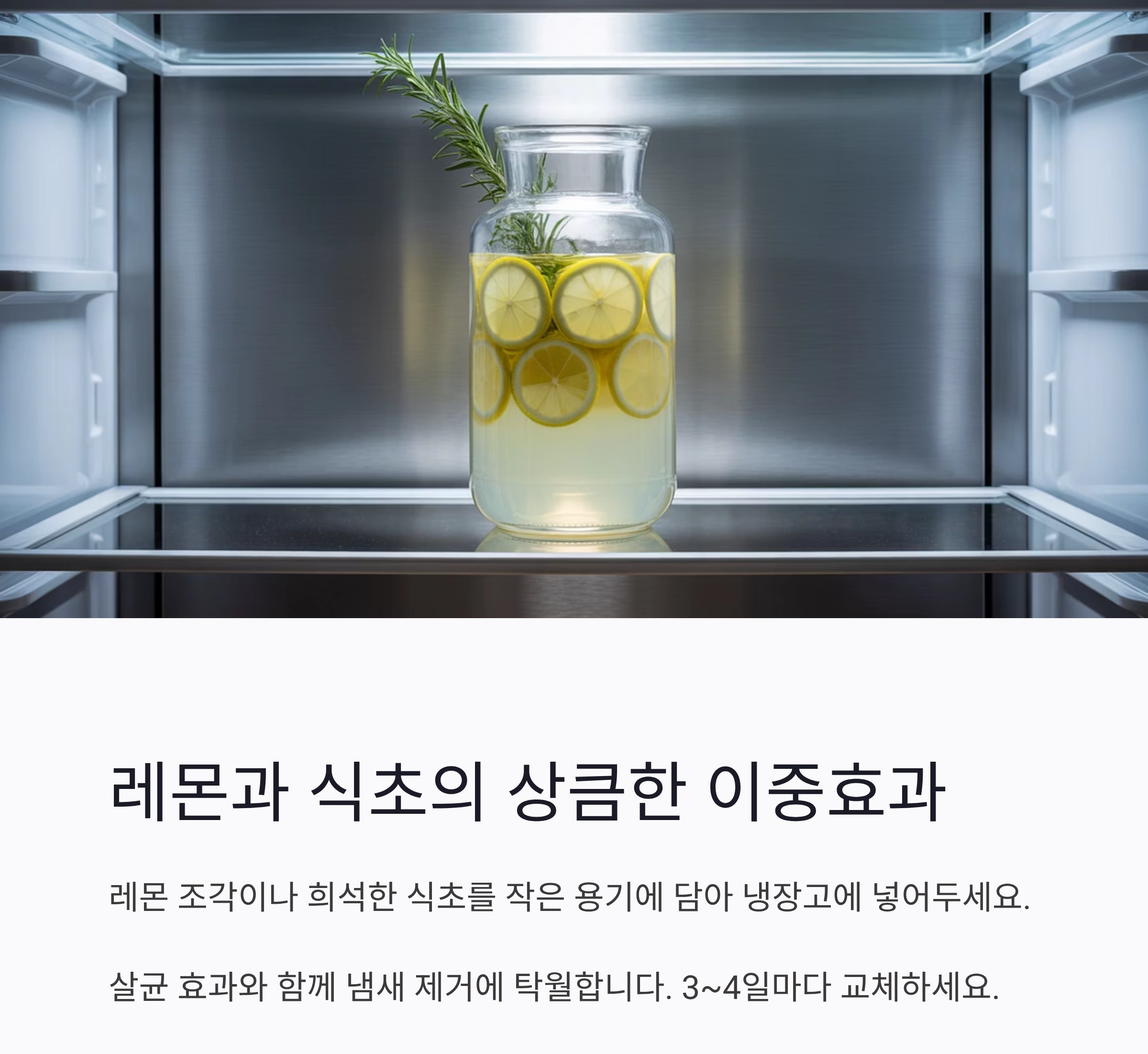 냉장고 냄새 싹 잡는 재료, 이것만 알면 끝!