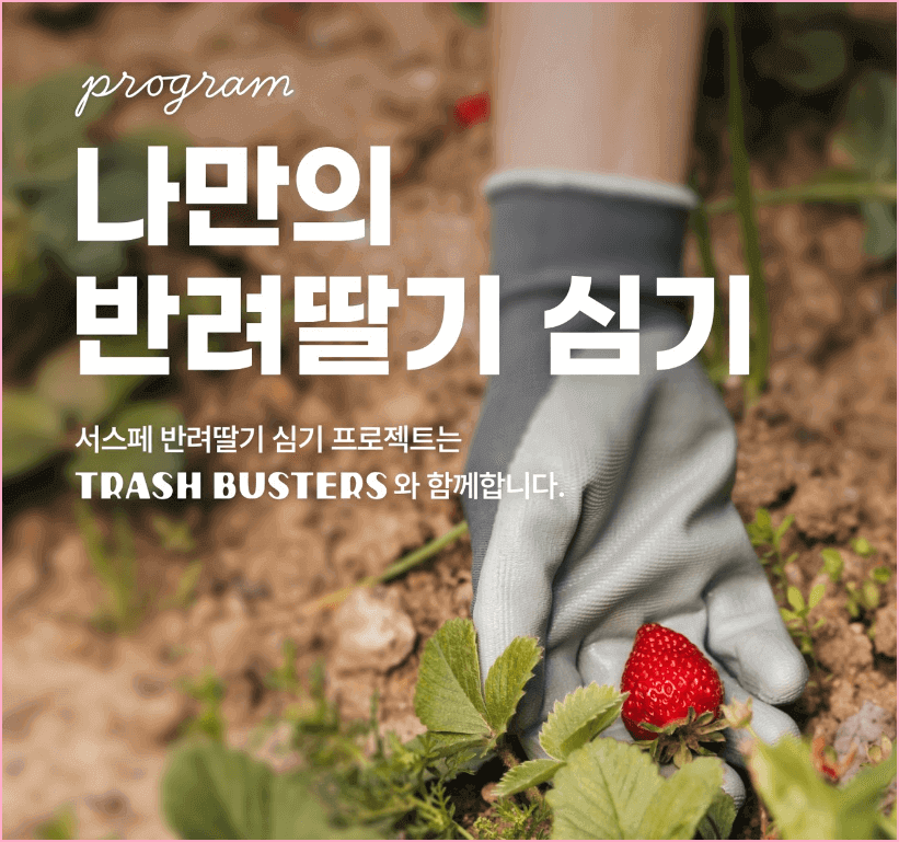 2024 서울 스트로베리 페스타 나만의 반려딸기 심기 프로젝트