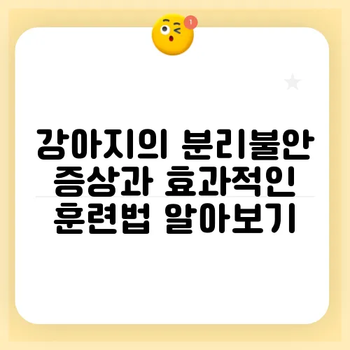 강아지의 분리불안 증상과 효과적인 훈련법 알아보기