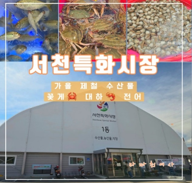 서천-태진아-재래시장-서천특화시장