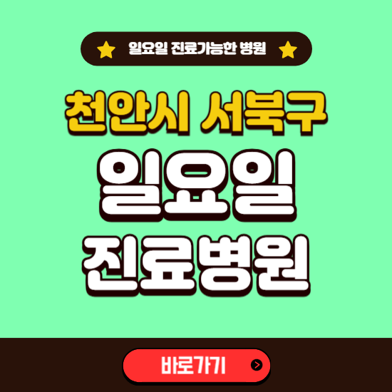 천안시 서북구 일요일 진료 가능한 병원 ❘ 주말 문여는 곳 총정리 (소아과, 내과, 안과, 치과, 피부과, 정형외과, 산부인과)