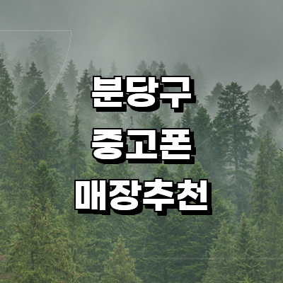 성남 분당구 중고폰