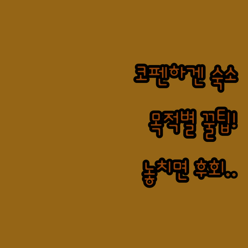 코펜하겐 여행 목적별 맞춤 숙소 추천..