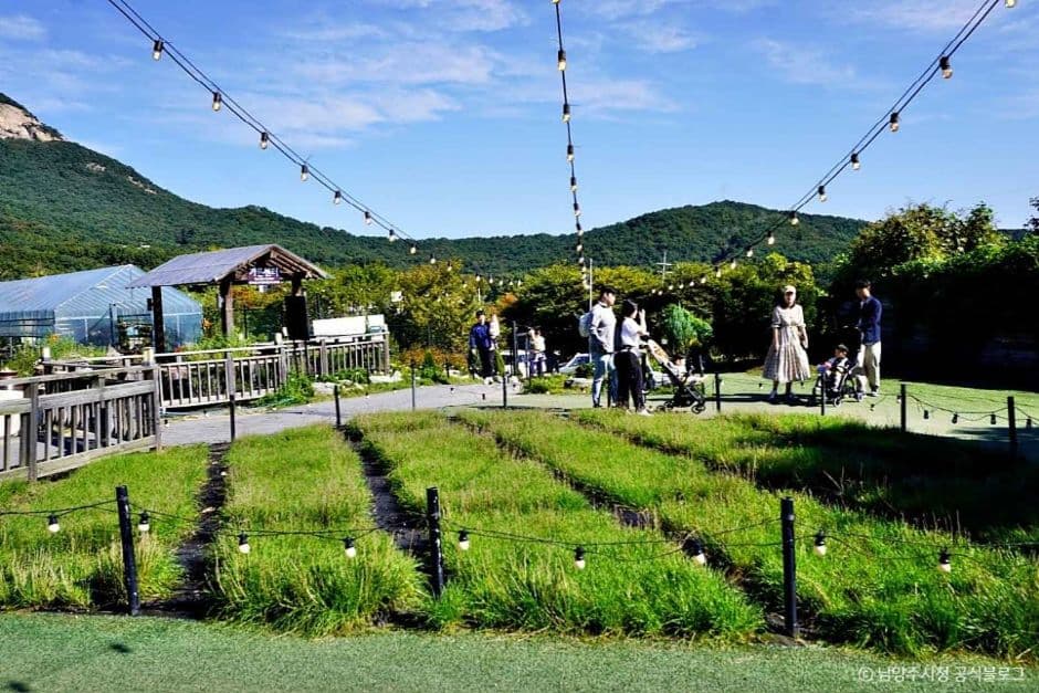 [서울 근교 여행지]산들소리 수목원 &amp; 낭만등불축제 후기