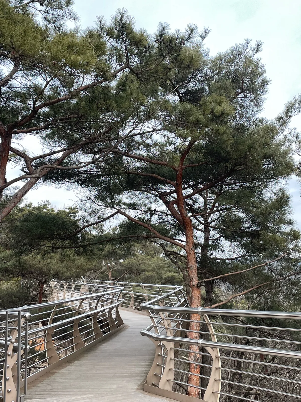 강원도-원주여행-소금산-출렁다리-주말-방문후기-산책로-소요시간,-또-가고싶은-이유