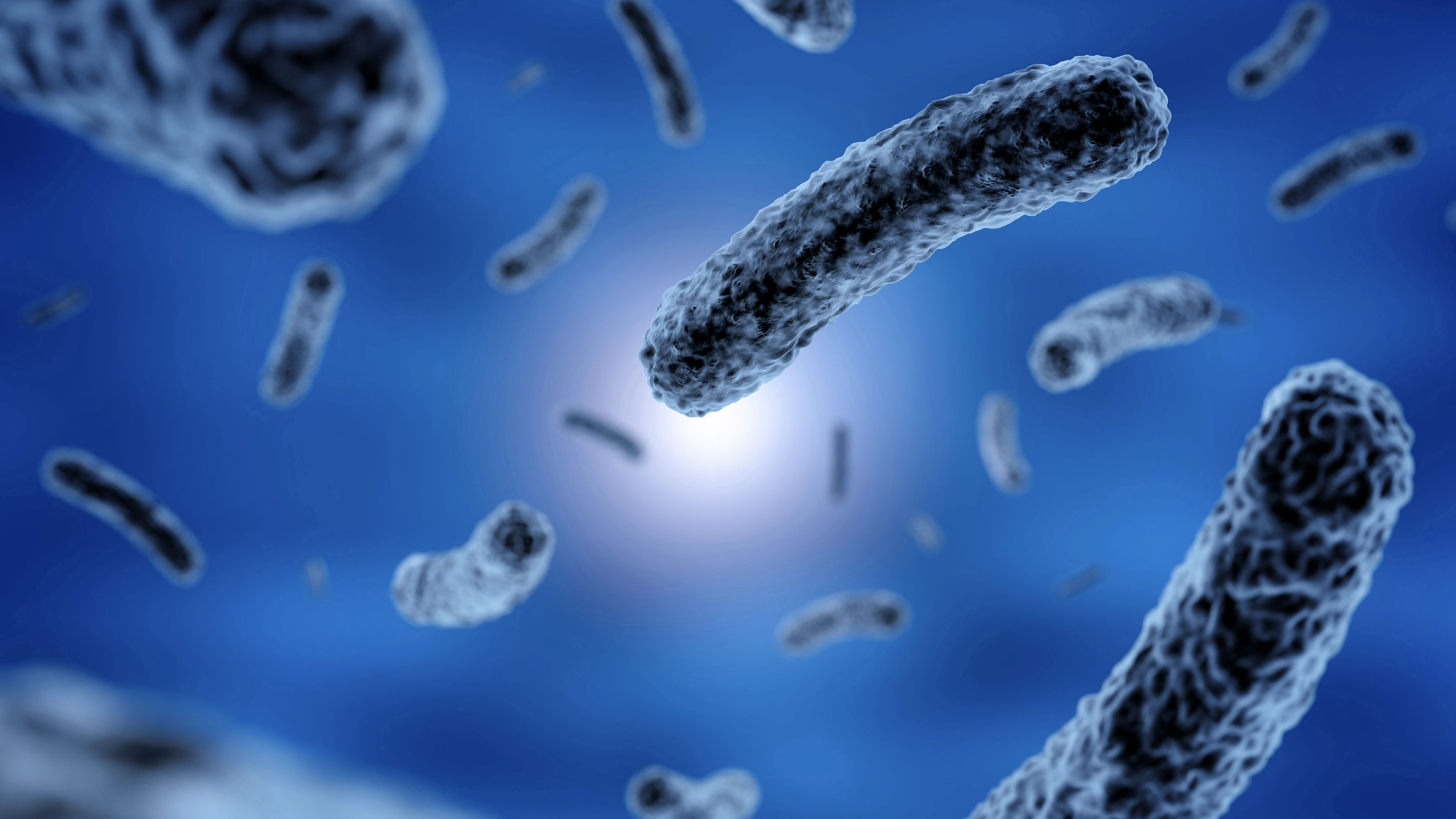 헬리코박터 파일로리(H. pylori) 감염